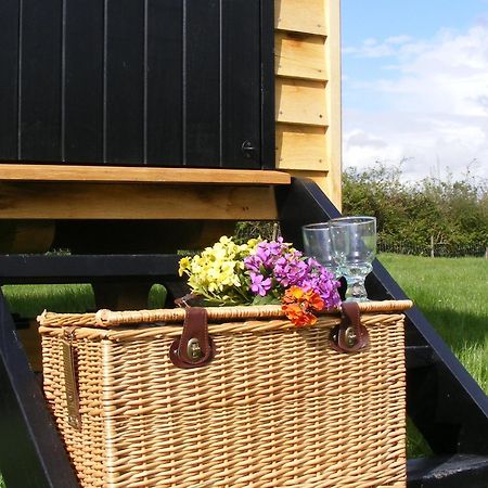 Marshwood Farm B&B And Shepherds Hut Dinton  Εξωτερικό φωτογραφία