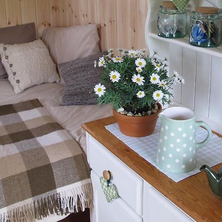Marshwood Farm B&B And Shepherds Hut Dinton  Εξωτερικό φωτογραφία