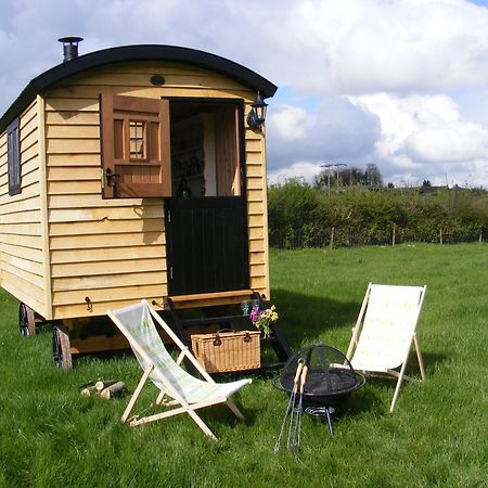Marshwood Farm B&B And Shepherds Hut Dinton  Εξωτερικό φωτογραφία