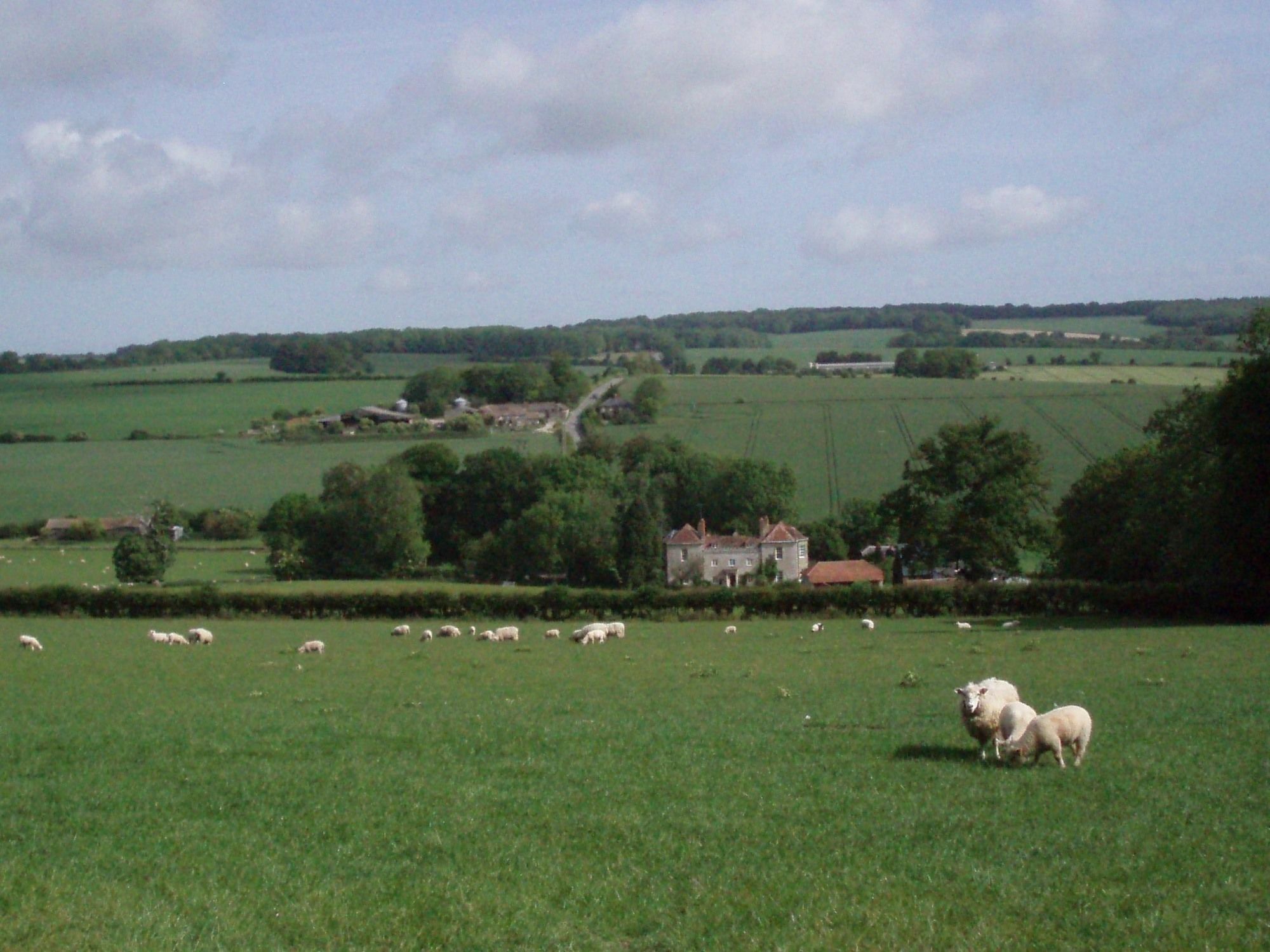 Marshwood Farm B&B And Shepherds Hut Dinton  Εξωτερικό φωτογραφία